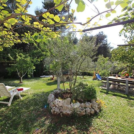Modern Apartment Sabina With Nice Garden Пореч Екстер'єр фото